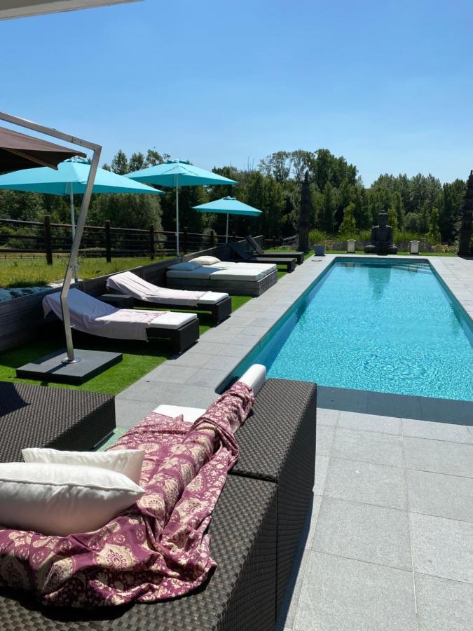 B&B La Douceur De La Miclette Ellezelles Εξωτερικό φωτογραφία