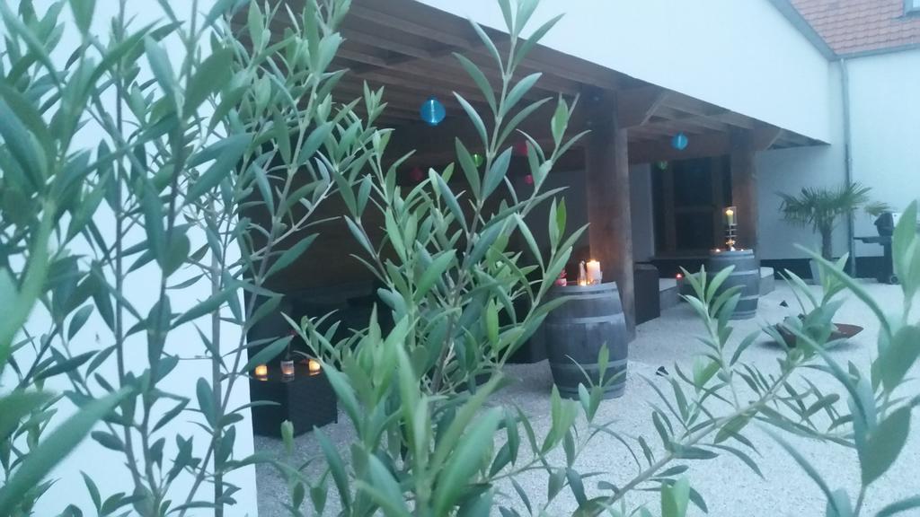 B&B La Douceur De La Miclette Ellezelles Εξωτερικό φωτογραφία