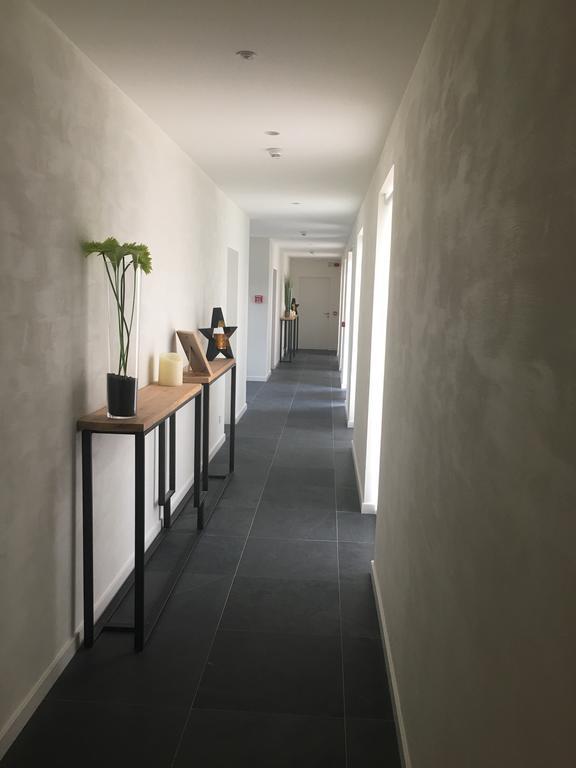 B&B La Douceur De La Miclette Ellezelles Εξωτερικό φωτογραφία